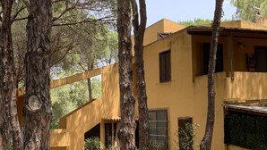 Un edificio con fachada amarilla, rodeado de árboles.