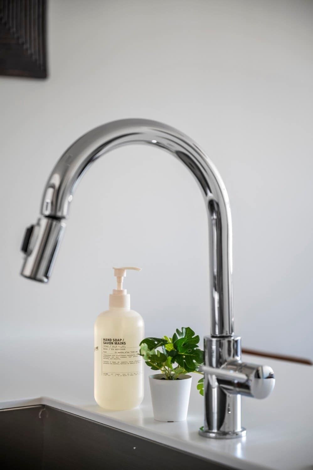 Ein modernes Küchenspülbecken mit einem Chromarmaturen, einer Handseifenflasche und einem kleinen Blumentopf.