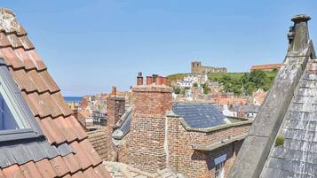 A view of a cityscape with historic buildings and a castle on a hill.