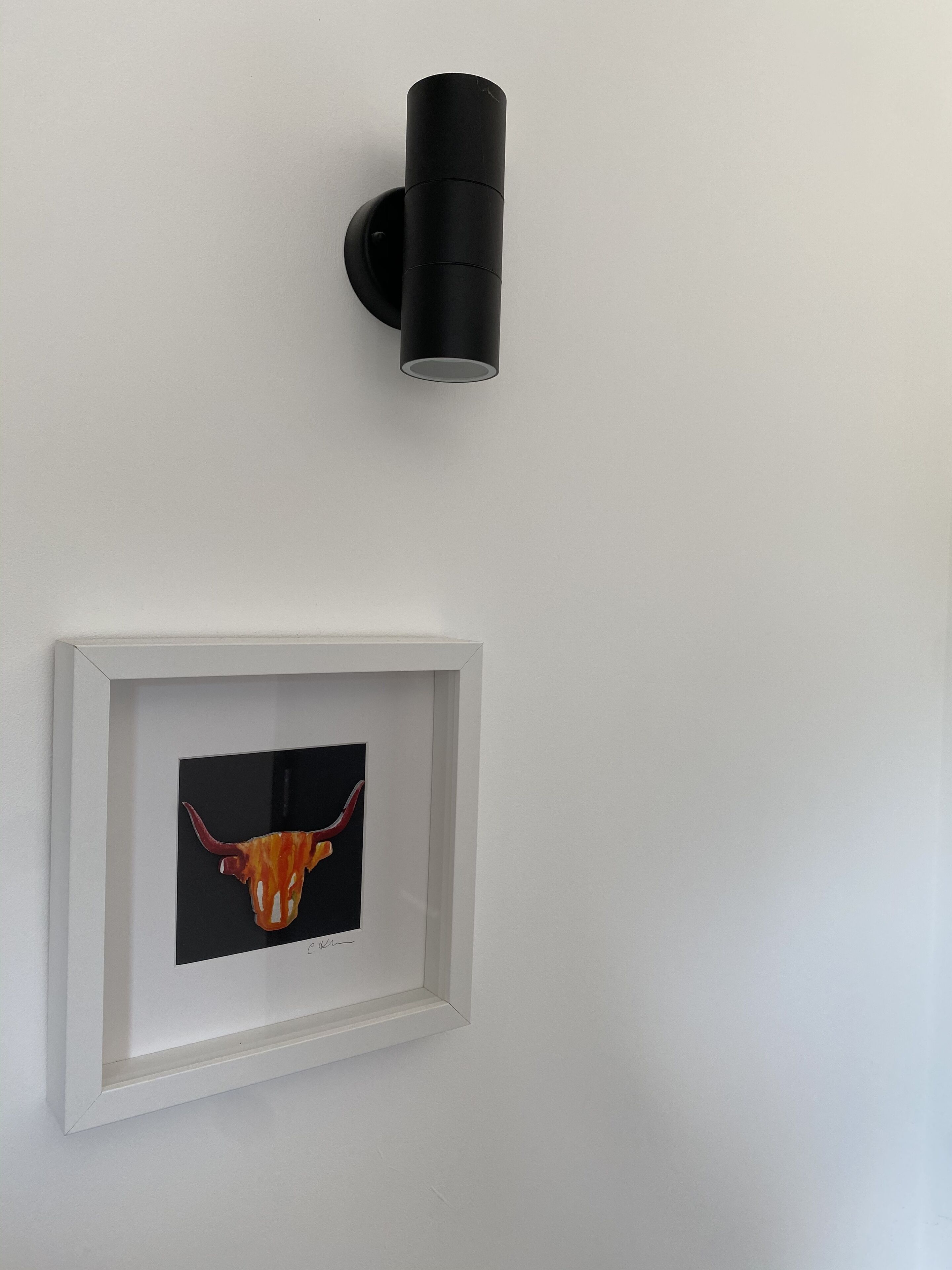 Una obra de arte enmarcada con la cabeza de un toro sobre una pared blanca.