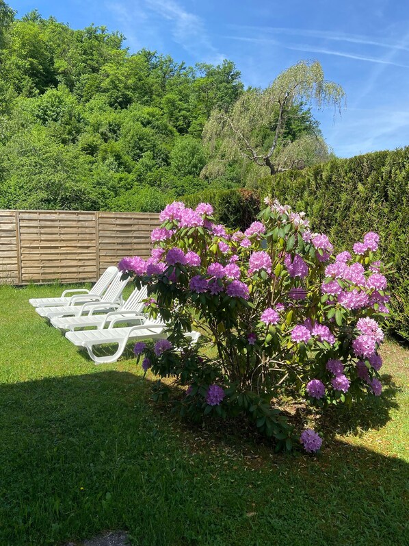 A garden with a row of white lounge chairs and a flowering shrub.