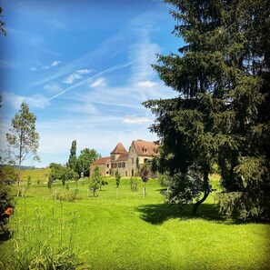 Exterior - Rose gite at Laugerie Basse Gites,   with a beautiful heated pool and grounds (Berbiguieres)