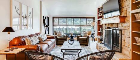 LCD TV, fireplace, books, offices