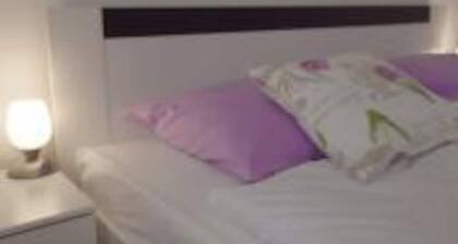 House Domi with beautiful Grapewine Terrace