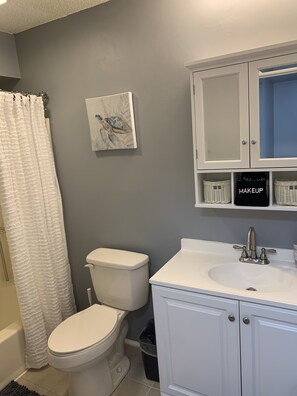 Ensemble douche/baignoire, sèche-cheveux, serviettes fournies, savon