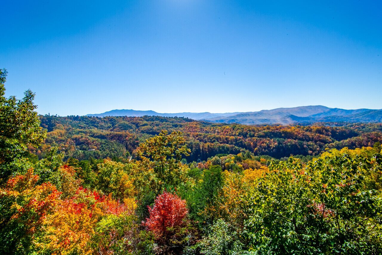 A forested mountain landscape with a clear sky.