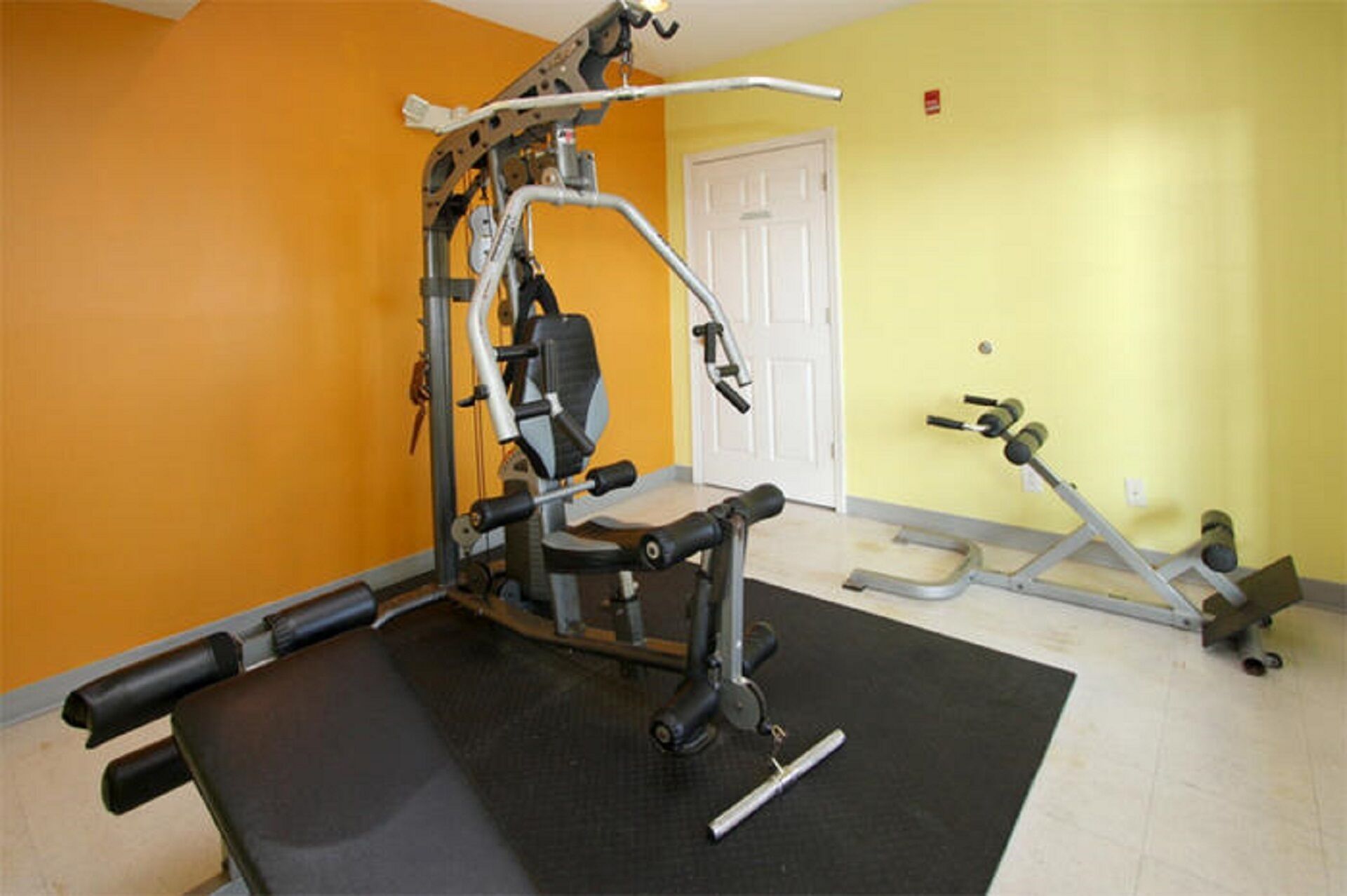 A gym with a bench press, a squat rack, and a bench press machine.