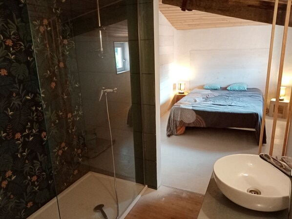 Shower, hair dryer, toilet paper
