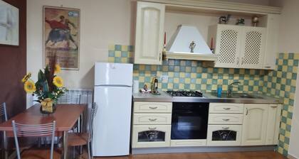 Cozy apartment within walking distance of downtown