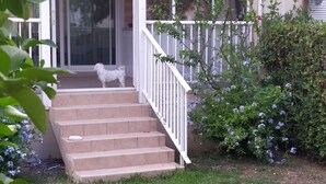 A house with a front porch, a small dog on the steps, and a garden with blue flowers. - House 6 pers. direct beach access(100 meters walk) (Borgo)