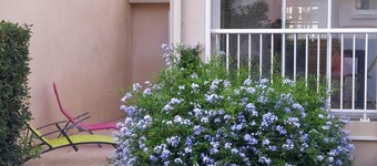 House 6 pers. direct beach access(100 meters walk)
