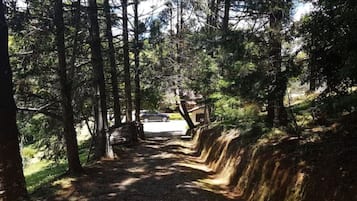 Área da propriedade