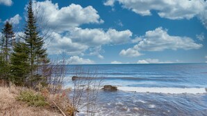 A coastal landscape with trees and a view of the ocean.