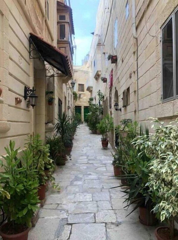 A narrow stone-paved alley flanked by buildings with potted plants and outdoor lighting fixtures.