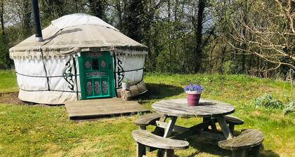 Myrtle, a cosy Mongolian yurt, nestled in field and woodland surroundings