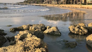 Plage à proximité, chaises longues, serviettes de plage