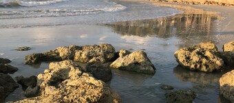 Edgy Modern house with Heated Salt Water Pool