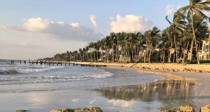 Edgy Modern house with Heated Salt Water Pool