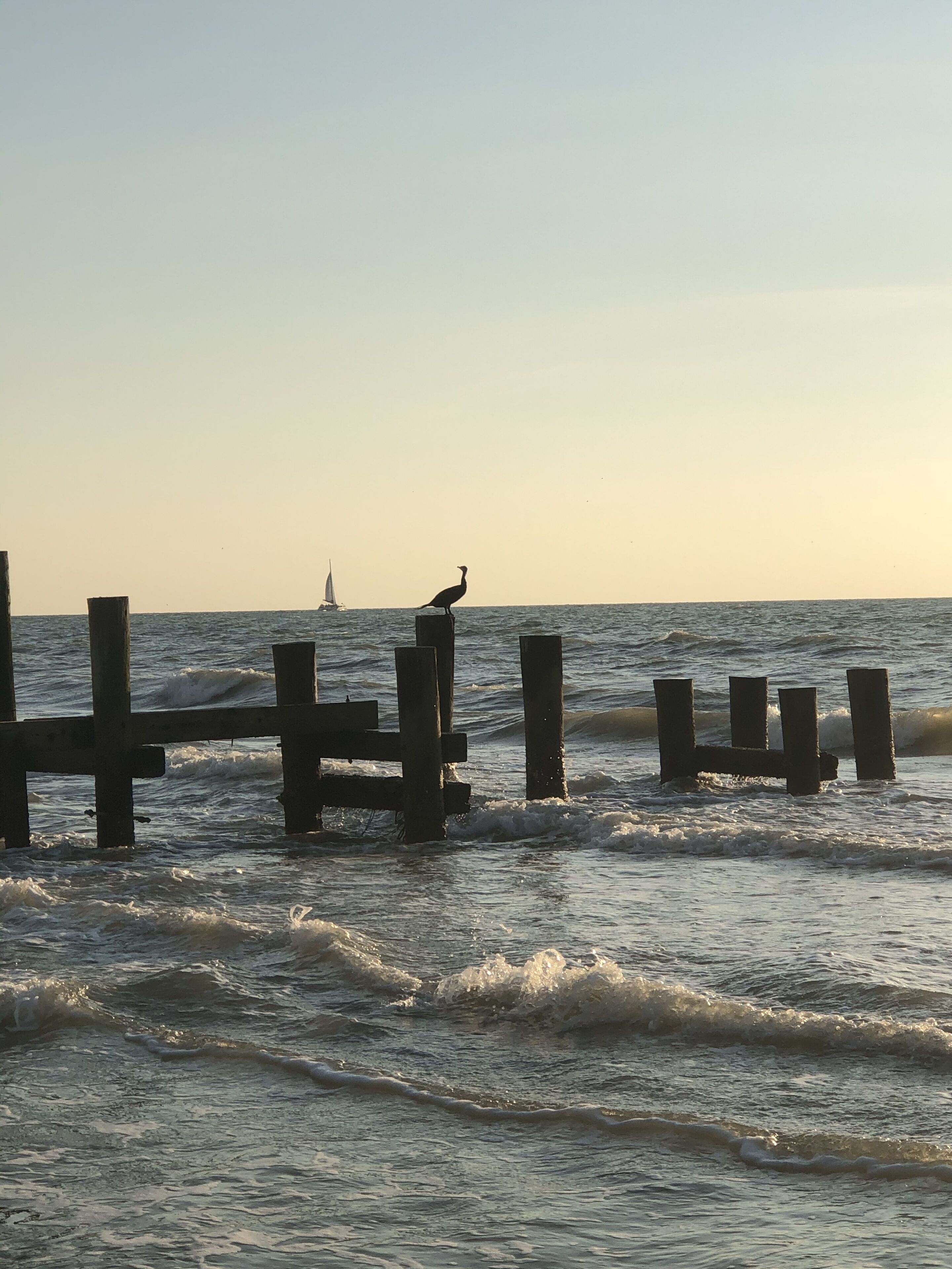 A wooden pier extending into calm waters with a bird perched on a post.