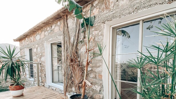Um deck de madeira com vasos de plantas, uma parede de pedra e uma janela com vista.