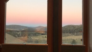 內部