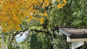 Ein Weg führt zu einem verschlossenen Eingang, der von üppigem Grün und Herbstlaub umgeben ist.