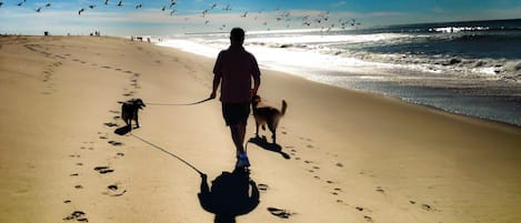 Beach nearby