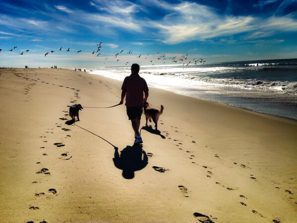 Playa en los alrededores