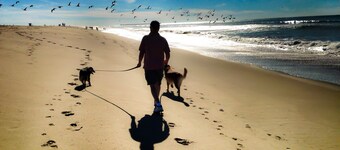 Come enjoy the sunset at this Harbor view townhouse! Parking, Beach Gear +Dog!