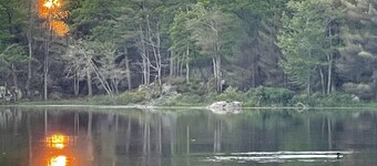 Quiet Retreat for Nature Lovers - 4 Seasons, Pet Friendly, Secluded 