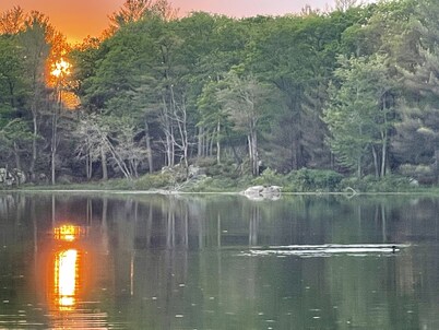 Quiet Retreat for Nature Lovers - 4 Seasons, Pet Friendly, Secluded 