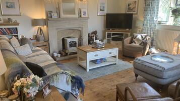 Smart TV, fireplace, video games, DVD player