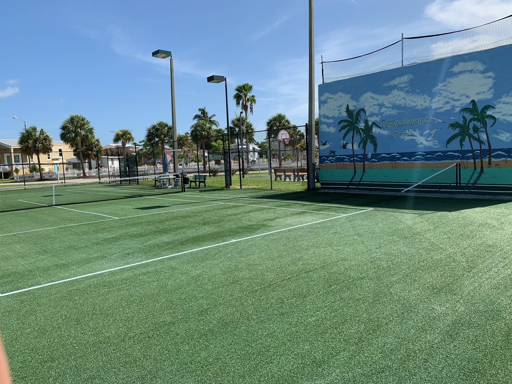A tennis court with a mural of a beach scene, palm trees, and a basketball hoop.