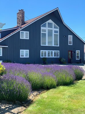 A large, dark-colored house with a prominent central window and multiple smaller windows. - Waterfront Studio Private Guest Suite at Dungeness Barn House (Sequim)
