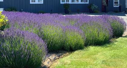 Waterfront Studio Private Guest Suite at Dungeness Barn House