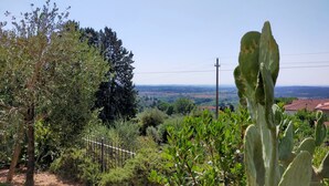 Een landschap met diverse begroeiing, waaronder bomen en cactussen, en een uitgestrekt uitzicht op een vallei met gebouwen.