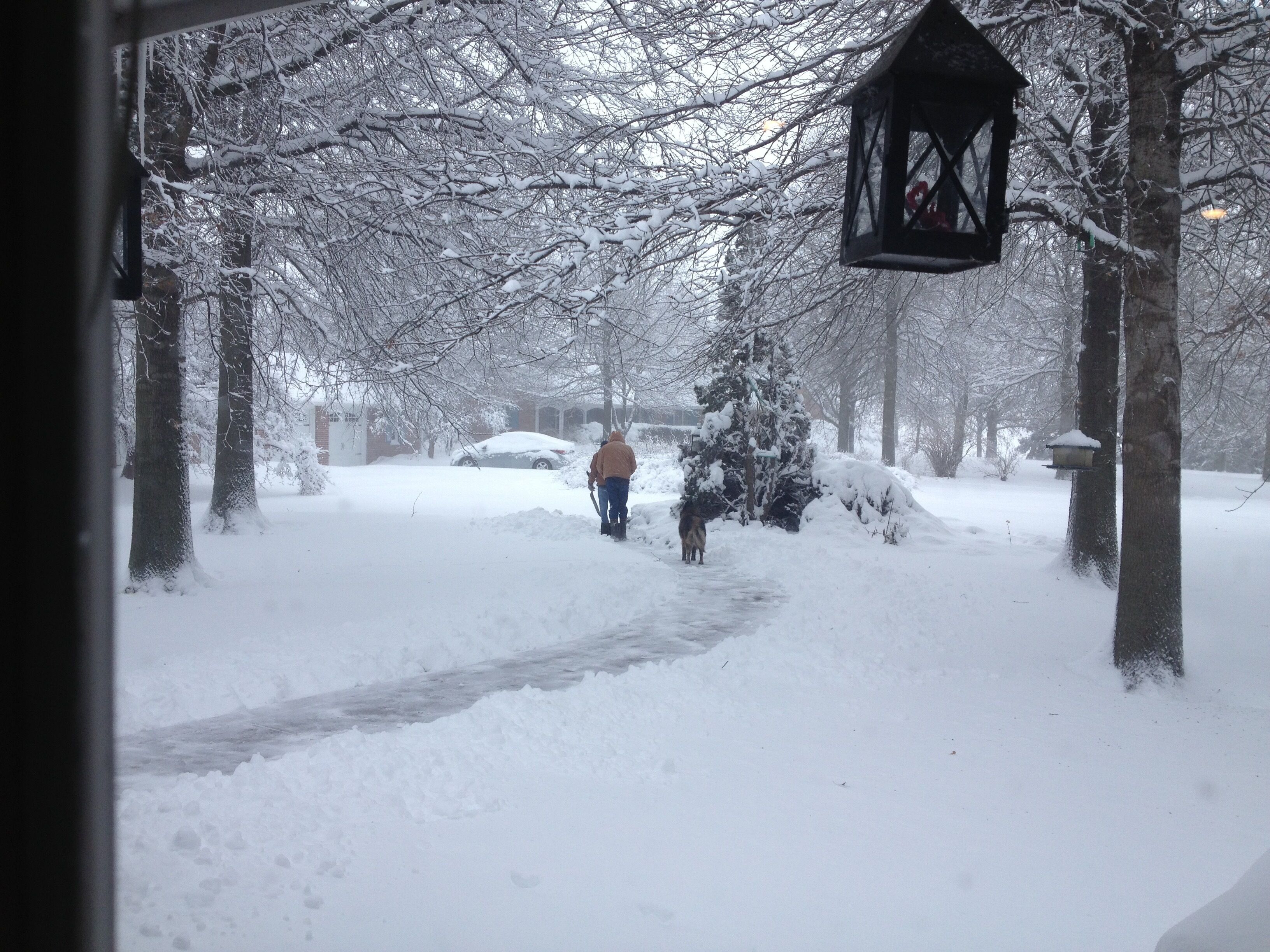 Eine verschneite Wohnstraße mit Häusern, einer Person, die Schnee schippt, und einem Vogelfutterhaus.