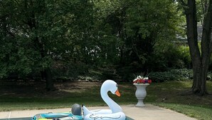 A swimming pool with a swan float and a green and blue inflatable pool toy.