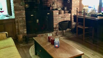 TV, fireplace, books