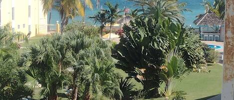 Área da propriedade