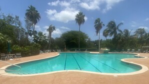 Ein Swimmingpool mit klarem, blauem Wasser, umgeben von Liegestühlen und Palmen.