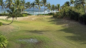 Eine Rasenfläche mit Palmen und Blick auf das Meer.