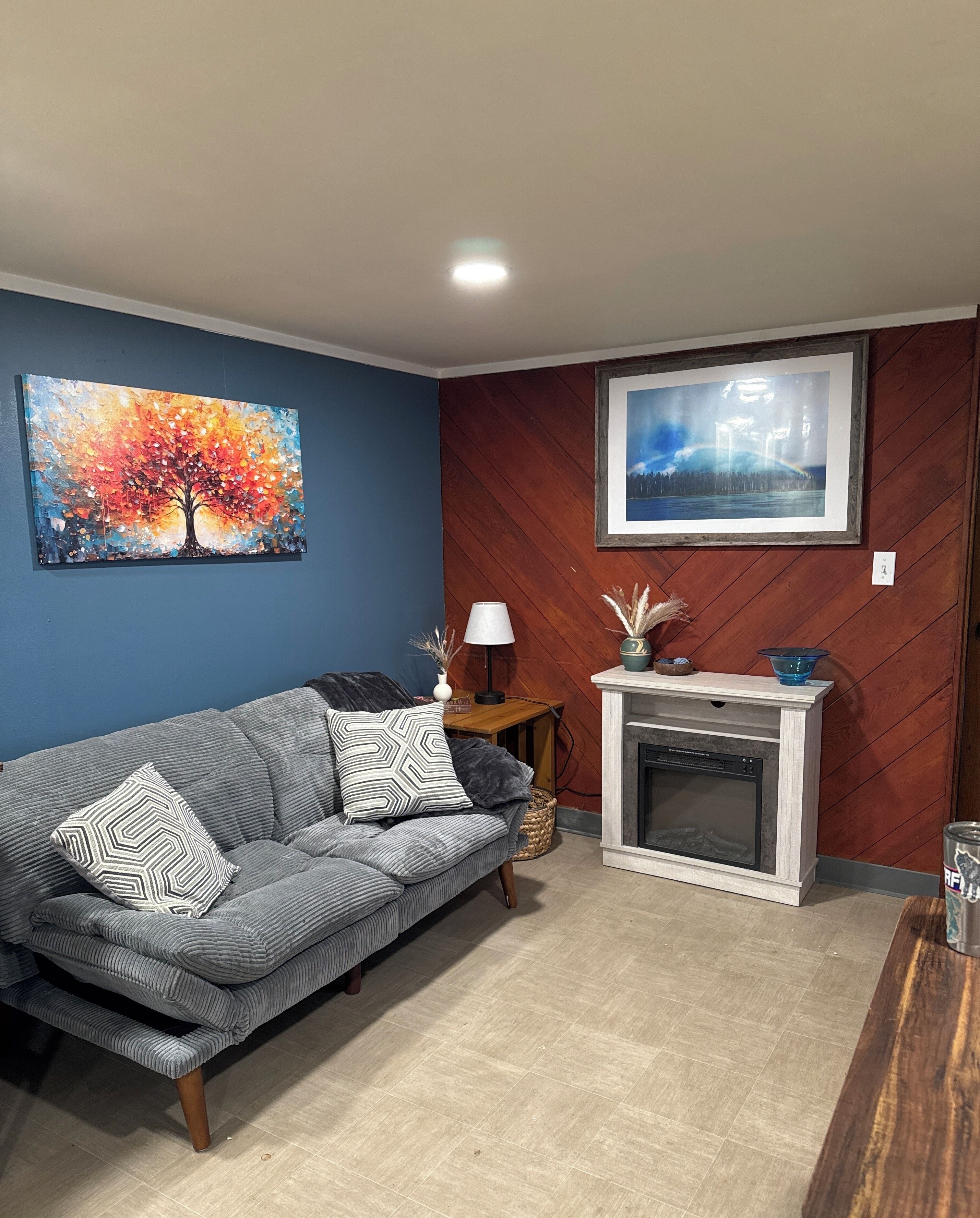 Smart TV, lareira, DVD player, livros