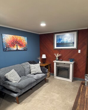 Smart TV, fireplace, DVD player, books