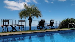A poolside area with a view of the ocean, a palm tree, and a metal fence.