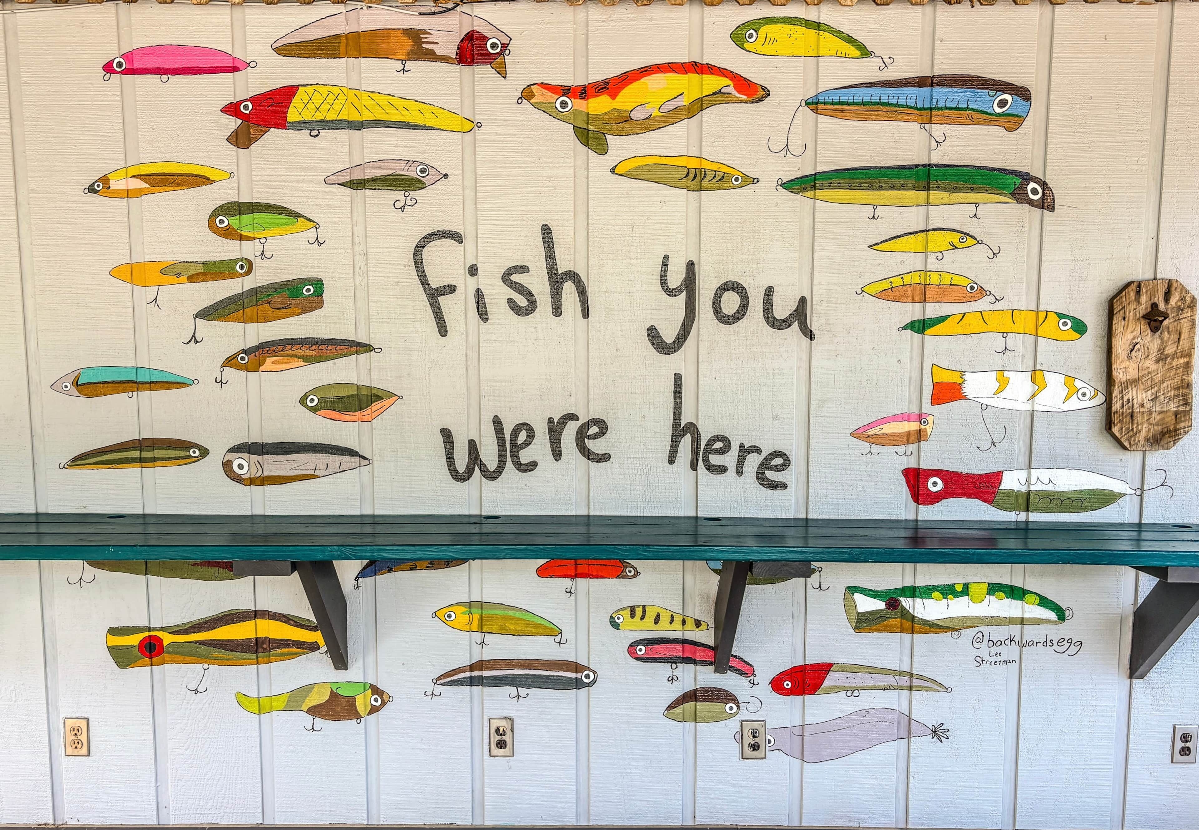 A wall decorated with various colorful fish lures.
