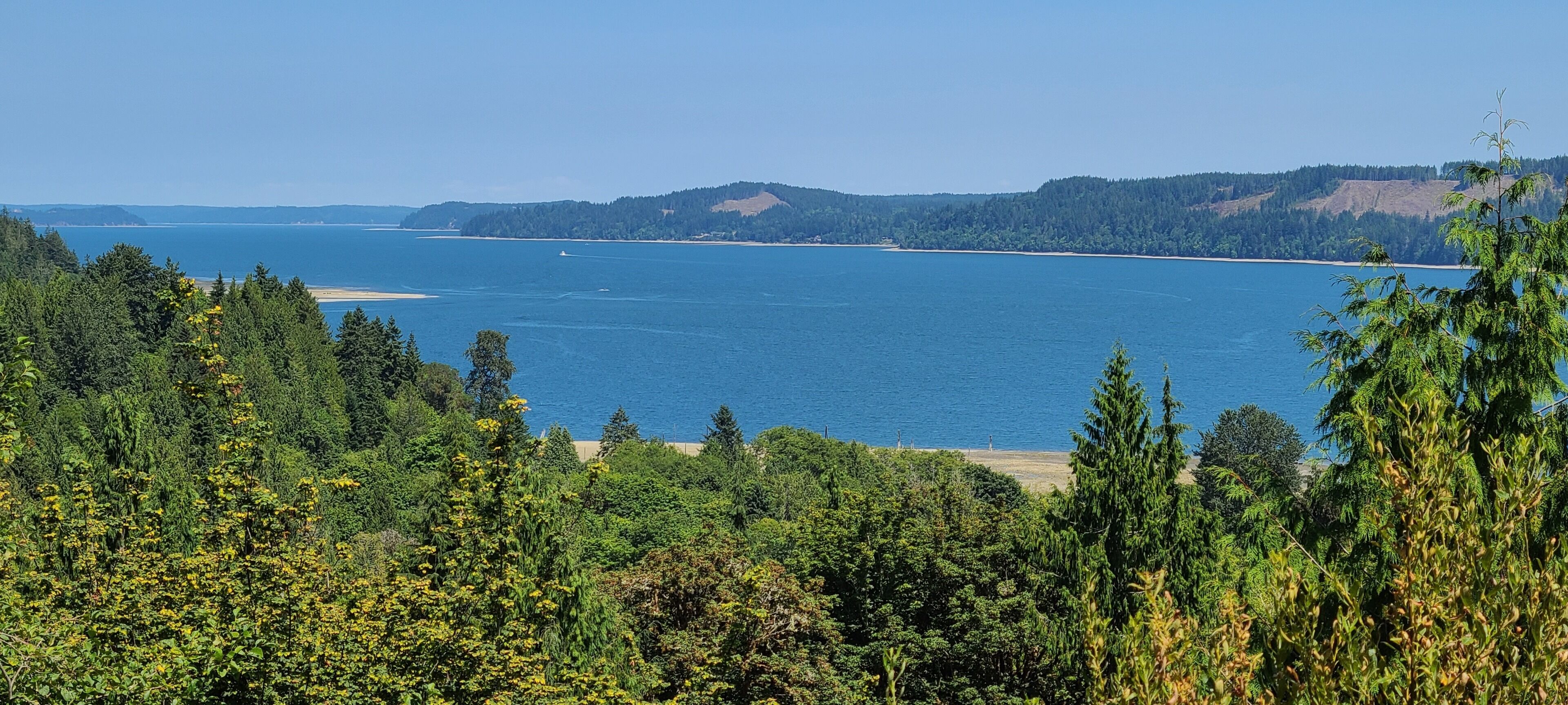 Un paisaje costero con un bosque denso en primer plano y vistas al mar y colinas distantes.