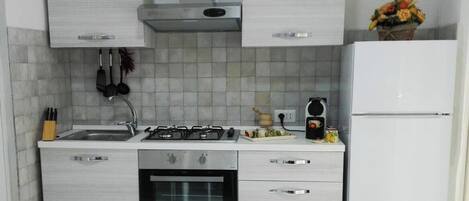 Fridge, oven, stovetop, coffee/tea maker