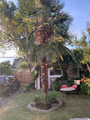 Outdoor dining - Large Renovated Character Home with 3 beds/2 baths (Vancouver)