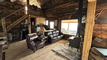 Smart TV, fireplace, DVD player, books